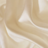 Zīda spilvendrāna Silk Champagne