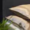 Zīda spilvendrāna Beige