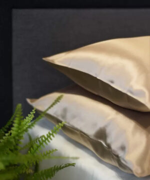 Zīda spilvendrāna Beige