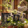 Voluspa aromātiskās sveces Jardin De Verveine smaržīga kompozīcija