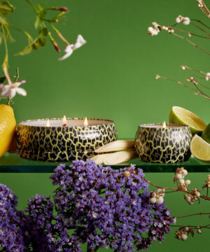 Voluspa aromātiskās sveces Jardin De Verveine kompozīcija